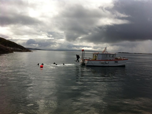 Jumping in for the dive